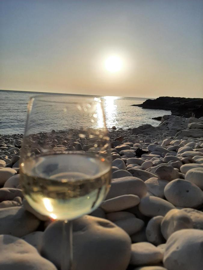 Helles Doppelzimmer Mit Bad, Terrasse Und Pool, Seperater Eingang, Liznjan, Istrien Dış mekan fotoğraf